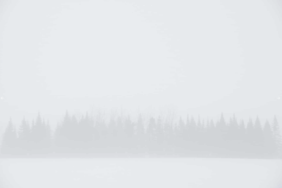 Photographie représentant une scène hivernale