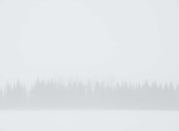 Photographie représentant une scène hivernale