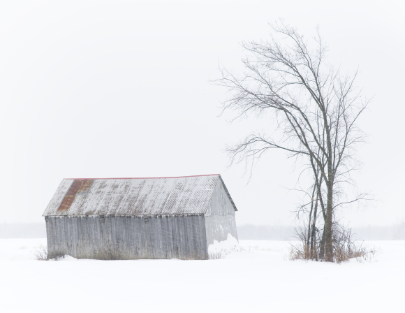Photographie représentant une grange et un arbre en hiver