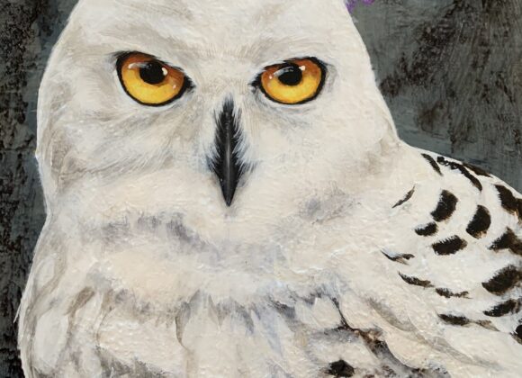 Tableau Snow Owl - Marie-Andrée Leblond